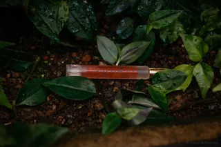 Pikkukuva: Monoï roll-on hyttyskarkote 10 ml