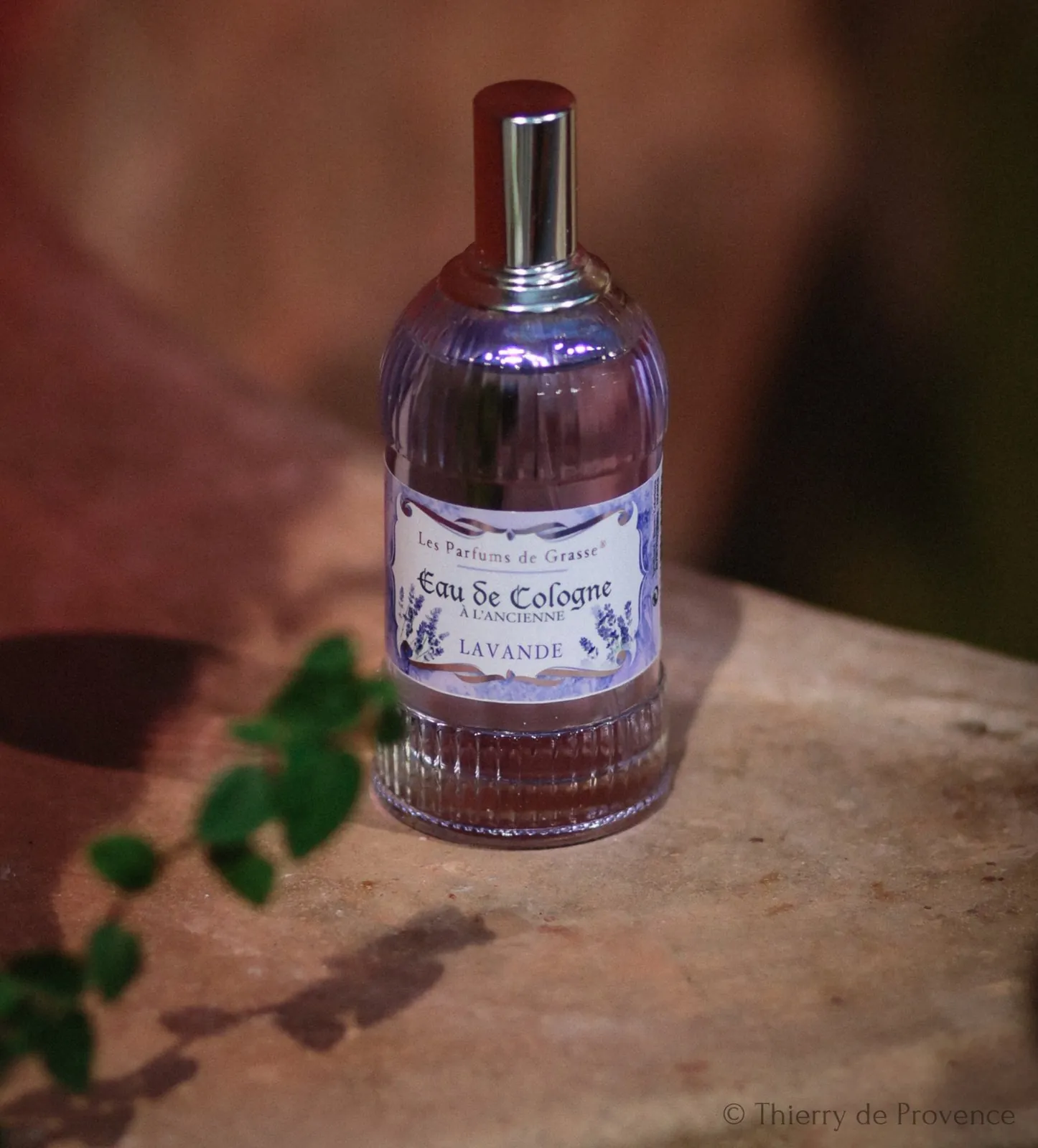 Thierry de Provence laventeli eau de cologne unisex hajuvesi miehille ja naisille